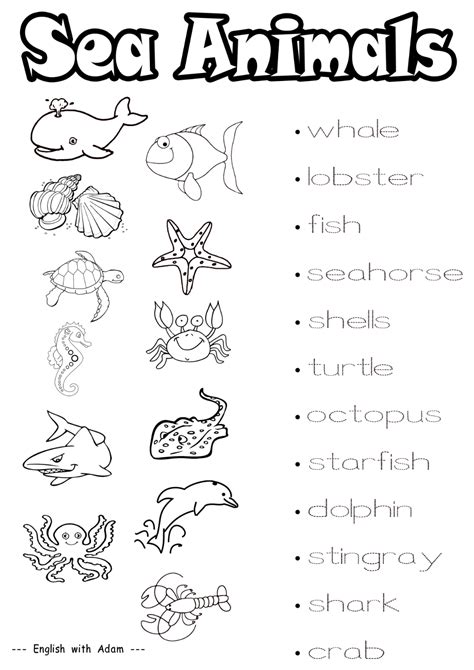 Sea Animal Printable Worksheet | Animal worksheets, Fun worksheets, Worksheets for kids