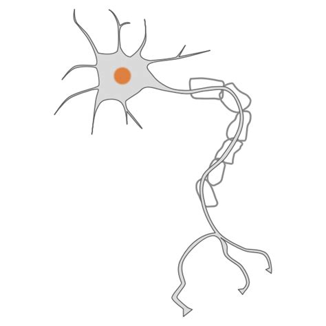 neuron | Free SVG