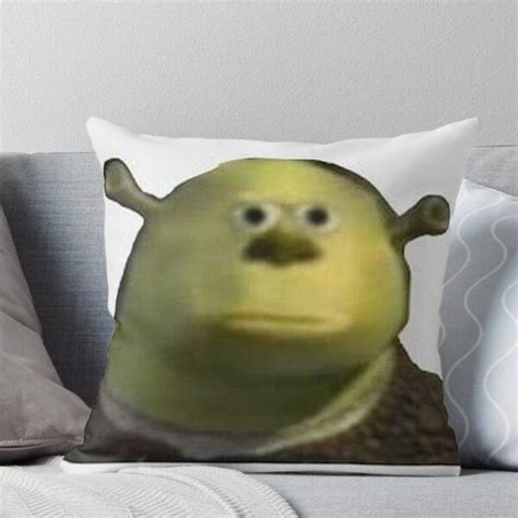 Shrek Meme Square Pillow Canada | ubicaciondepersonas.cdmx.gob.mx