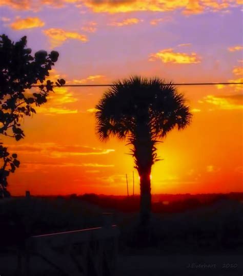 Sunset at Coconut Beach Park by julieeverhart - VIEWBUG.com