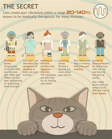 Healing Cats Purring | tippy tip tips | Pinterest