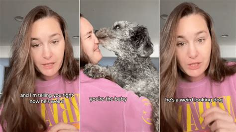 Woman’s Rare Basset Hound Poodle Mix Is the Best Oddball - Parade Pets