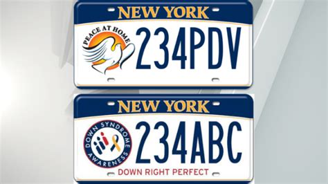 Support great causes with custom DMV license plates | WETM ...