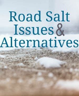 Road Salt Issues and Alternatives | DiscountFilters.com | Salt, Salt ...