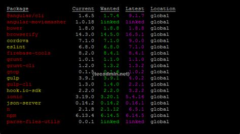 How to find installed npm package version – TecAdmin