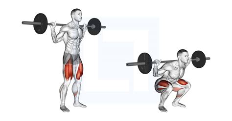 Barbell Low Bar Squat - Guide, Benefits, and Form