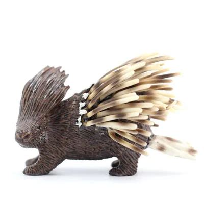 Original genuine wild animal mammal Old World porcupine figures collectible figurine kids ...