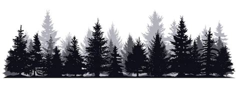 Premium Vector | Pine trees silhouettes Evergreen coniferous forest silhouette nature spruce ...