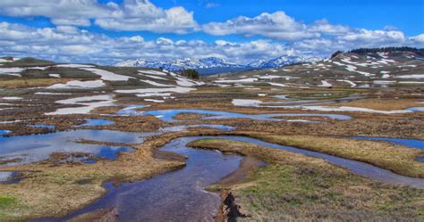 Exploring Hayden Valley in Spring - A Yellowstone Life