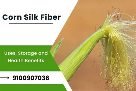 Corn Silk - Uses, Storage and Health Benefits | Medintu