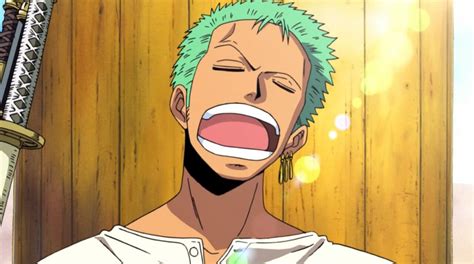 Pin by Teru on [ SHP ] RORONOA ZORO | One piece gif, One piece anime, Roronoa zoro