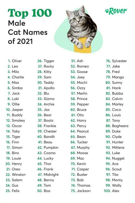 the top 100 male cat names of 2021