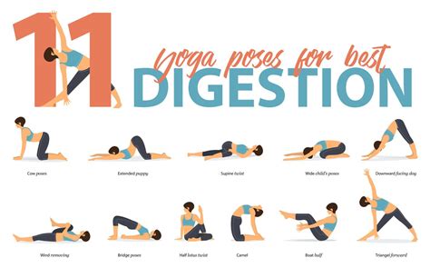 yoga exercises for digestive system