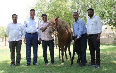 ICAR-NRCE Bikaner produces India’s first Zanskari horse foal using embryo transfer technology ...