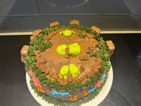 Shrek in the swamp : r/cakedecorating