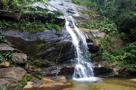 Tijuca Forest Hiking Tour Including Waterfalls