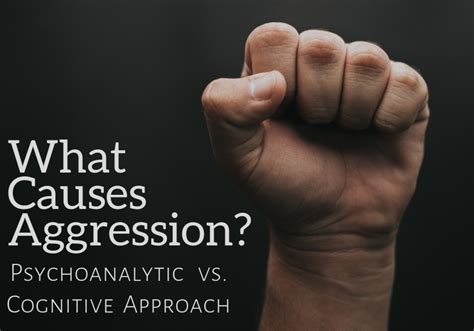 Causes of Aggression: A Psychological Perspective | Owlcation