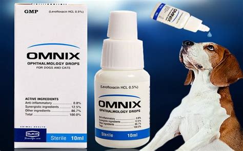 Omnix Alkin Pet Eye Drops Cats Dogs Bacterial Infection