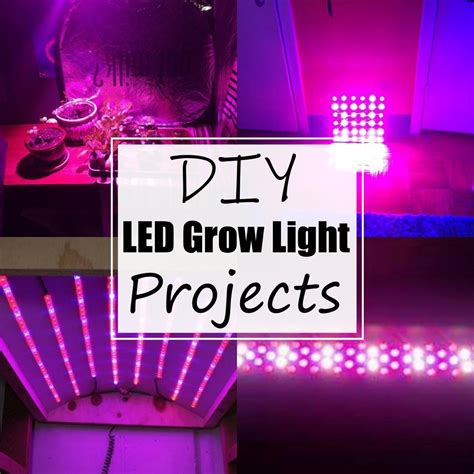 14 DIY LED Grow Light Projects For Planting Enthusiasts - All Sands