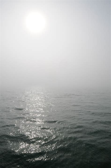 Heavy Sea Fog | Captain Brian on the Water