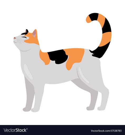 Calico cat flat design Royalty Free Vector Image