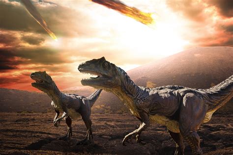 FAU | Dinosaurs’ Last Spring: Study Pinpoints Timing of Asteroid Impact