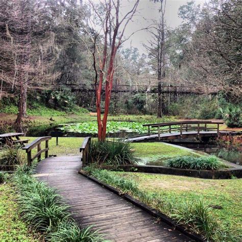 Ravine garden state park. Palatka Florida | South florida fun, Florida ...