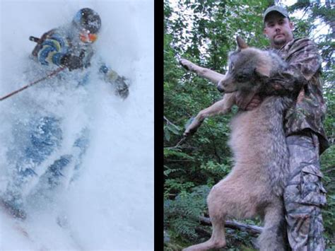 Hunting Wolves - Montana Hunting and Fishing Information