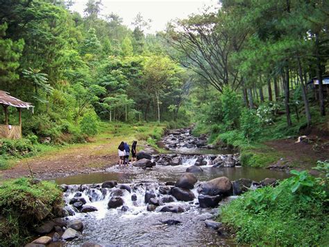 √ Hijaunya Bedengan, Malang