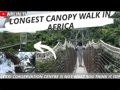 Africa's Longest Canopy Walk is in Lekki Conservation Centre Lagos ...