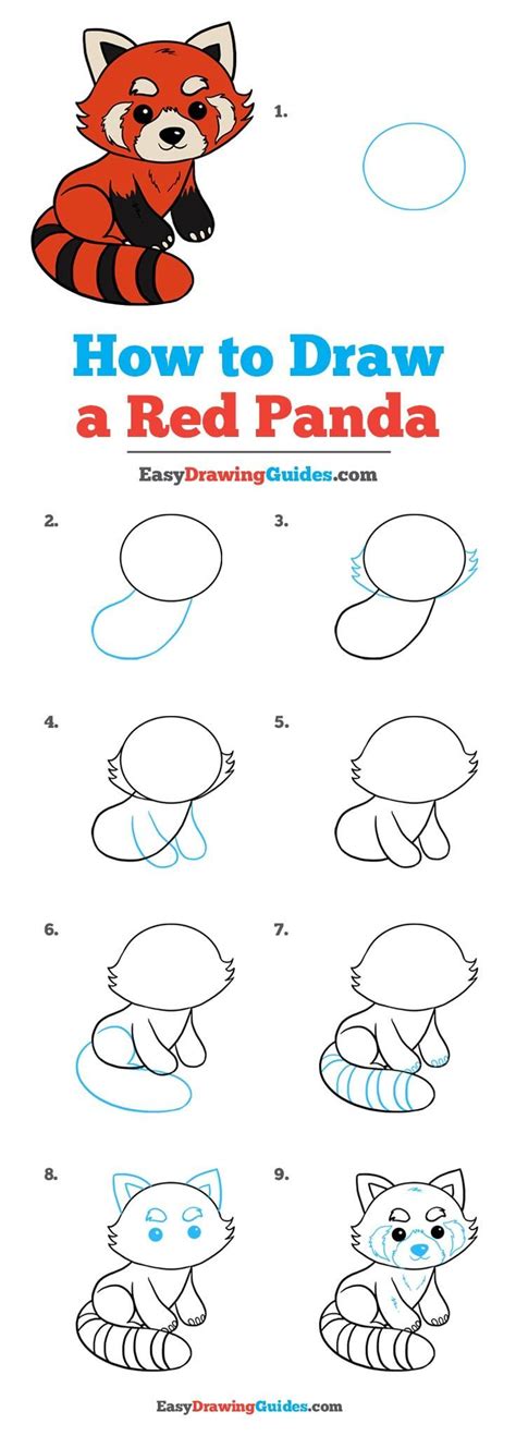 How to Draw a Red Panda - Really Easy Drawing Tutorial | Drawing ...