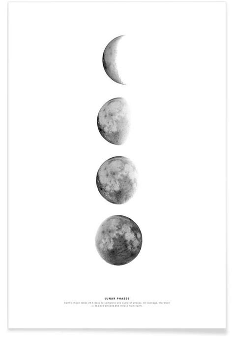 Phases of the Moon Poster | Moon poster, Moon phases, Poster