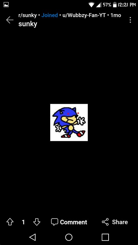 SUNKY RAIIIIIID : r/SonicTheHedgehog