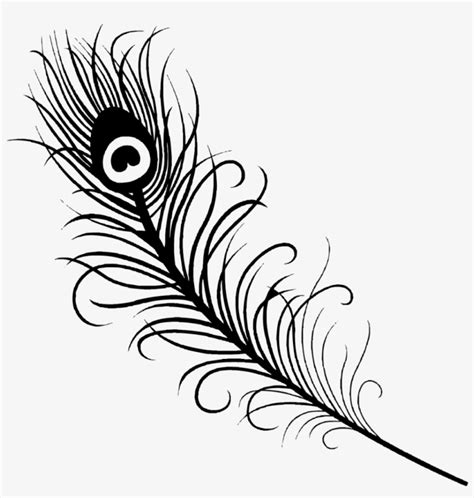 Peacock Vector Art Nouveau - Peacock Feather Vector Black And White PNG Image | Transparent PNG ...