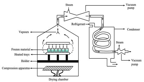 What is Freeze Dryer? Working Principle, Construction, Diagram, Advantages, Disadvantages ...