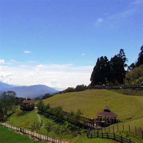 Cingjing Farm (Qingjing Farm) - Taiwanleaftea.com