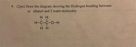 Solved (2pts) Draw the diagram showing the Hydrogen bonding | Chegg.com