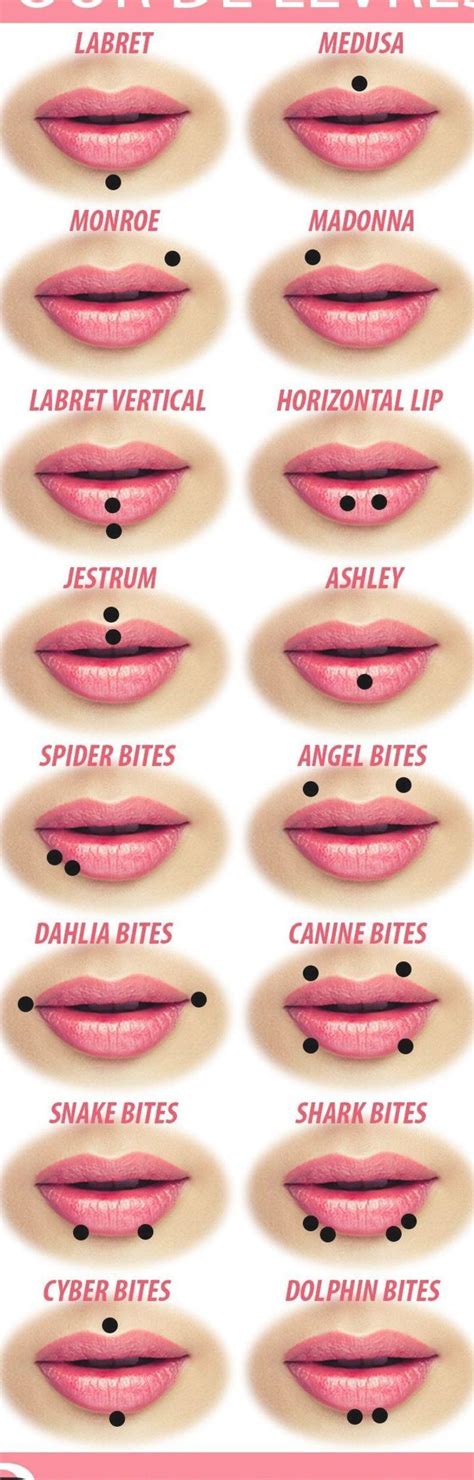 Pin by Melissa Santo on Piercings | Lip piercing names, Different lip piercings, Lip piercing