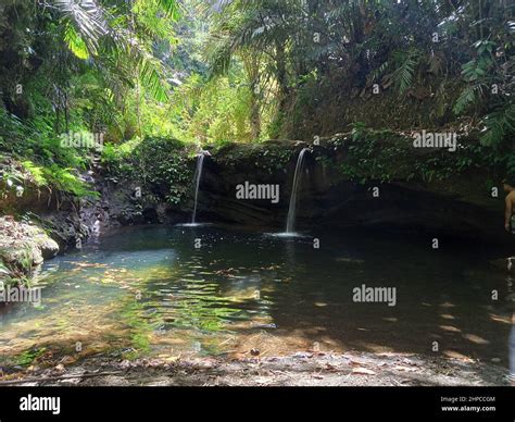 Beautiful view of small waterfalls in ''lihim na batis'' Philippines ...