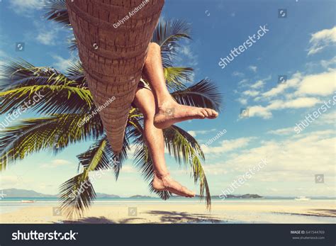 Serenity Tropical Beach Stock Photo 641544769 | Shutterstock