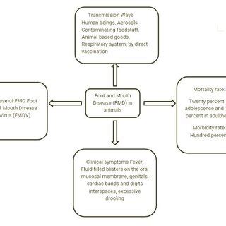 The nature of the illness, how it spreads, its symptoms, and its chance ...