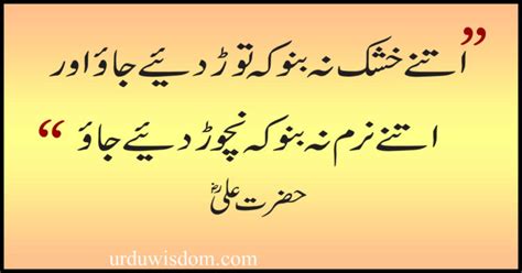 Top 30 Hazrat Ali Quotes in Urdu | Mola Ali Quotes about life