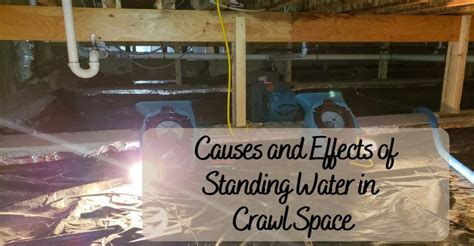 Causes And Effects Of Standing Water In Crawl Space | Superior Restoration