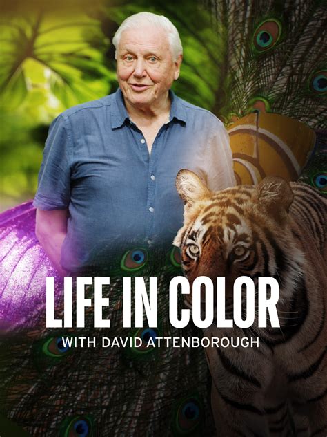 Life in Color With David Attenborough - Rotten Tomatoes