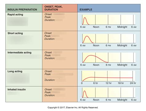 Insulin (Class, Type, Onset, Peak, Duration) Diagram | Quizlet