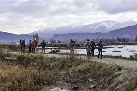 Skagit Valley Field Trip Report | RAINIER AUDUBON SOCIETY