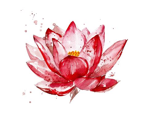 Phoenix And Lotus Flower Meaning | Best Flower Site