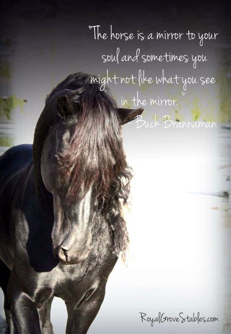 Horse Quotes. QuotesGram