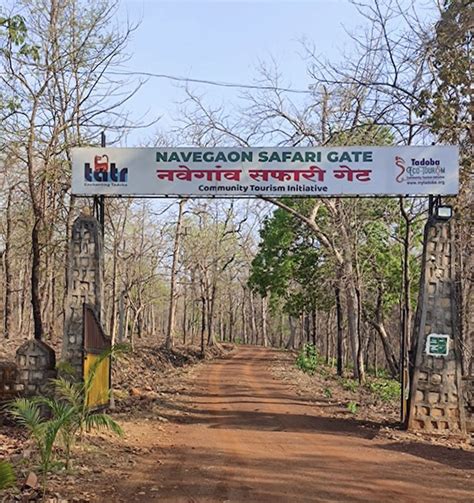 Navegaon National Park: Maharashtra's Verdant Gem - Tour Mitra