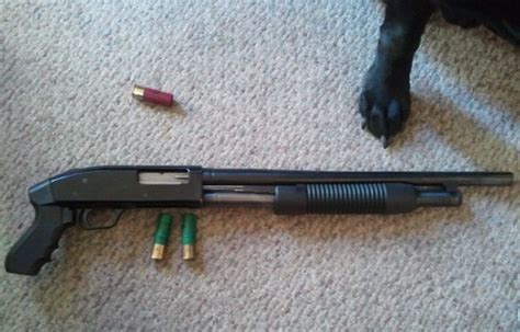 Mossberg 500 Review - Guns, Optics, Shooting